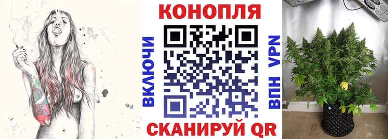 Какие есть наркотики Каргат КОКАИН  Мефедрон  Псилоцибиновые грибы  Канабис  ГАШ 