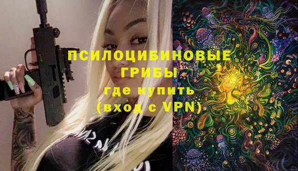 кокс Алексин