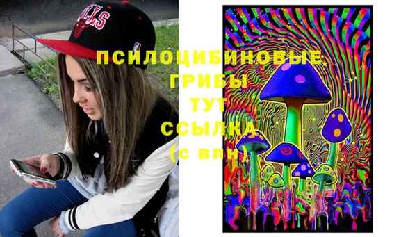 кокс Алексин