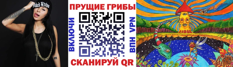 хочу   Каргат  Псилоцибиновые грибы ЛСД 